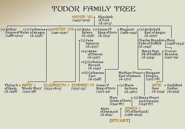 Family tree of the Tudor Dynasty